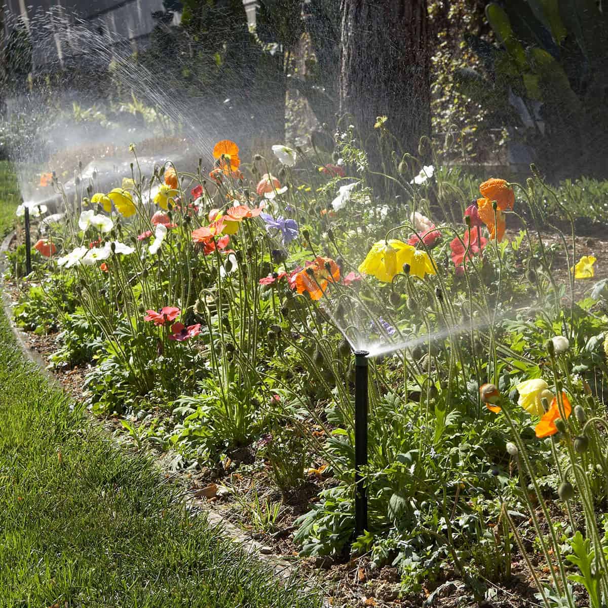 Hunter Pro-Spray Pop Up Sprinkler - Image 4